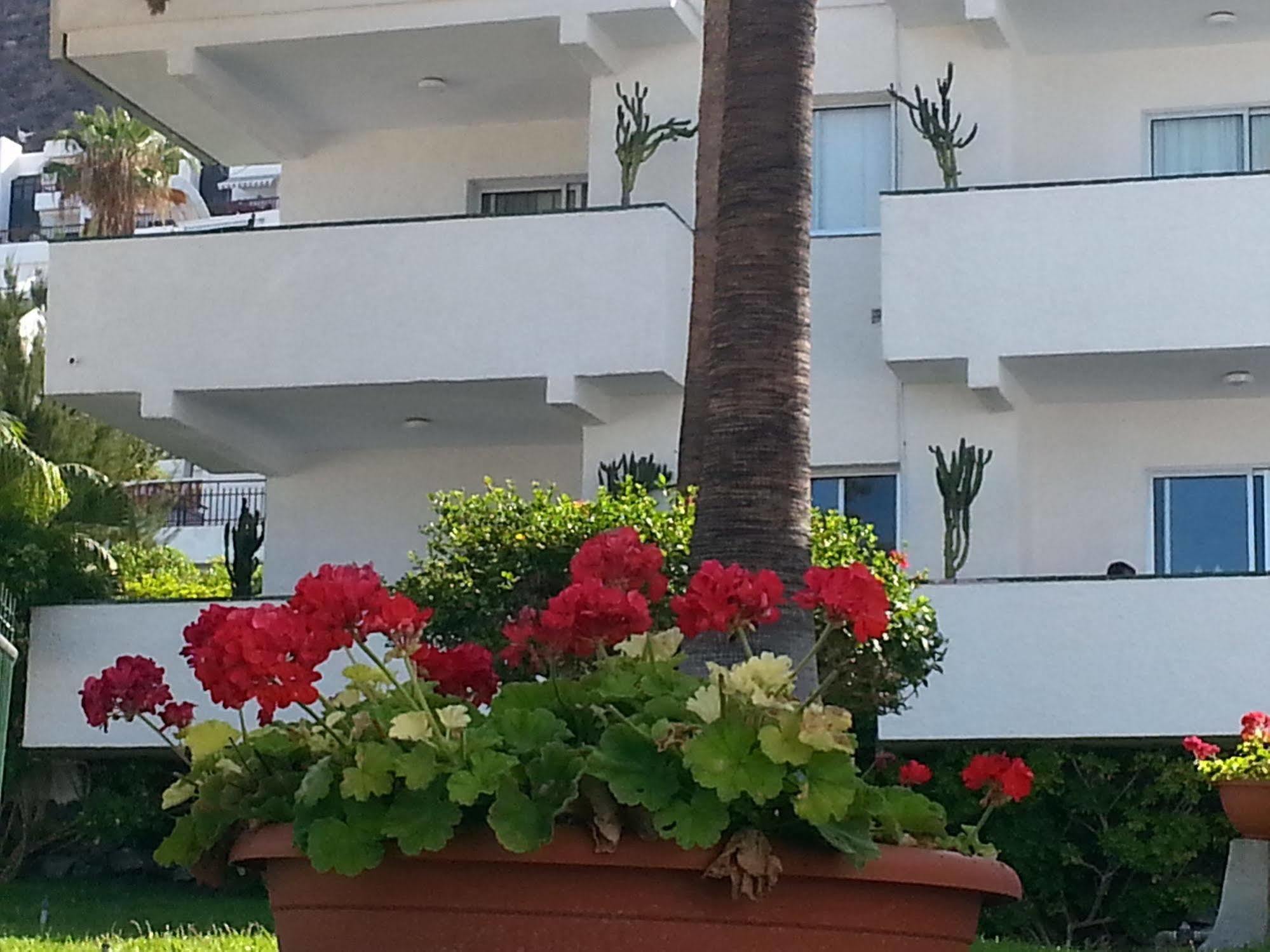 Apartamentos El Sombrero Acantilado de los Gigantes Εξωτερικό φωτογραφία